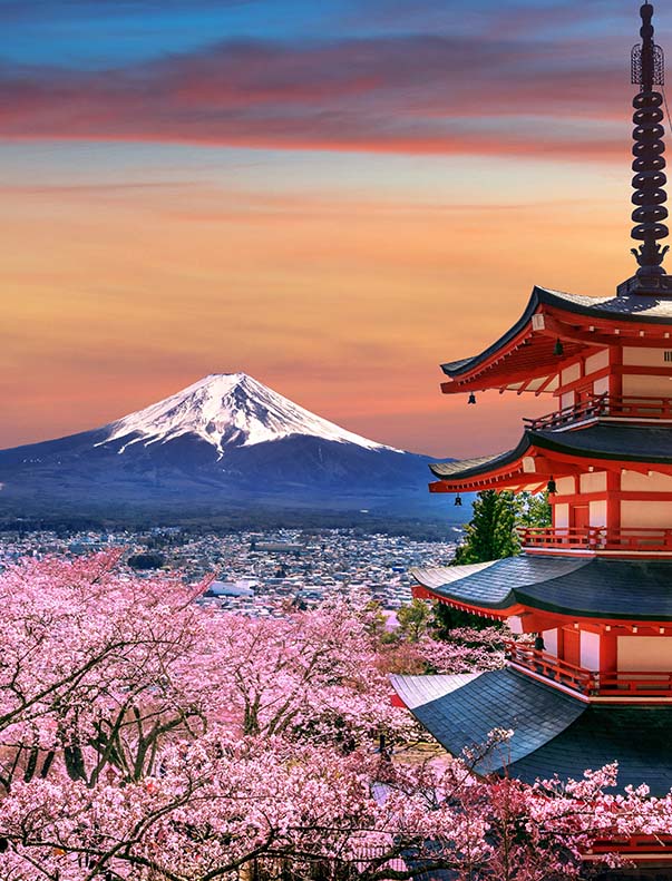 tentang kami lpk sunago